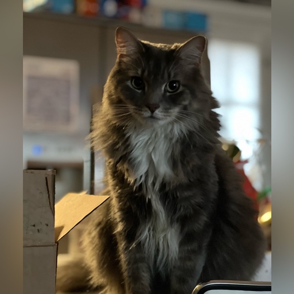 HI!! I’m Bibi 🖤💕 Welcome to my closet! - Picture 3 of 15